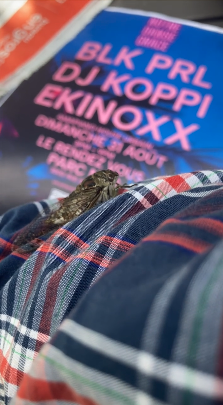 La Cigale et la  Fourmi – Notre Danse de&nbsp;Grâce